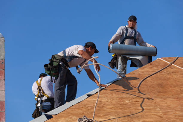 Best Roof Gutter Cleaning  in Fairland, MD